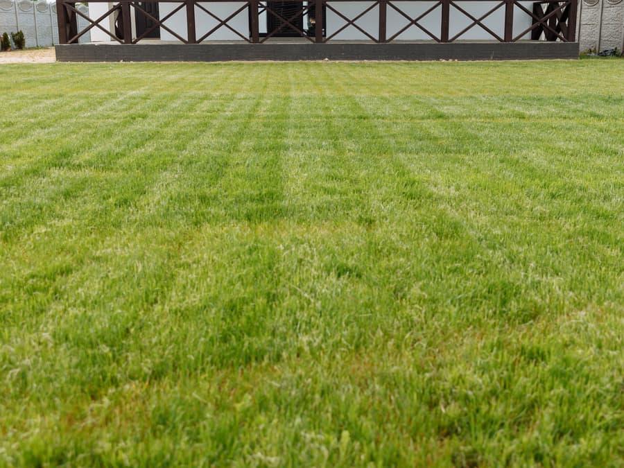 A home with a freshly mowed, even green lawn