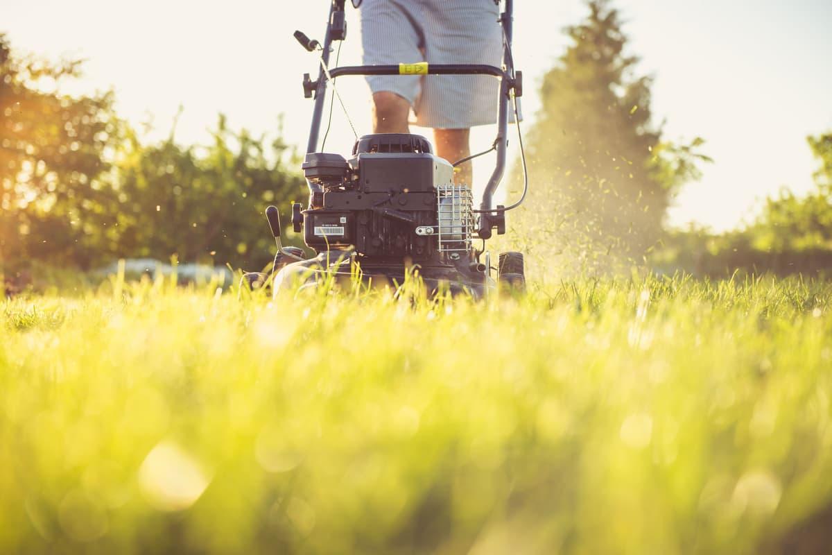 A professional mowing a green lawn on a sunny day